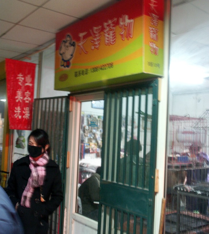 按此在新窗口浏览图片