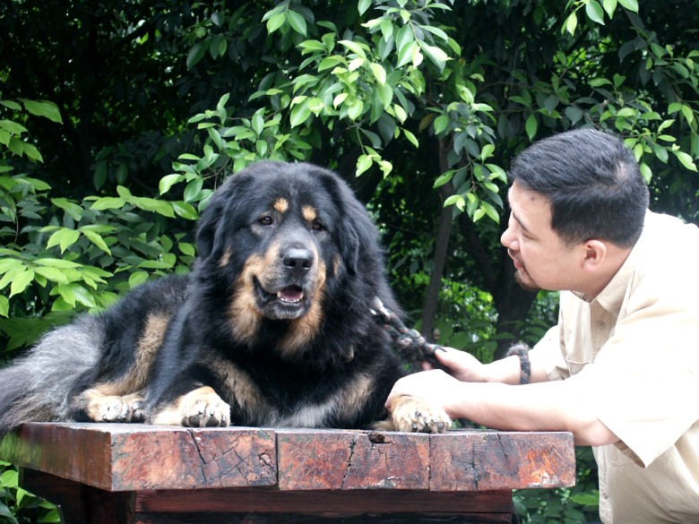 按此在新窗口浏览图片
